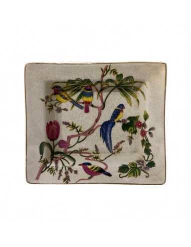 Ceniceros Parrots & Flowers