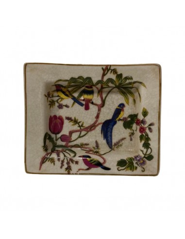 Ceniceros Parrots & Flowers