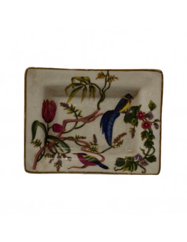 Ceniceros Parrots & Flowers